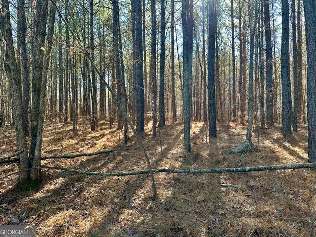 125 Patriot View Drive, Dahlonega, GA 30533