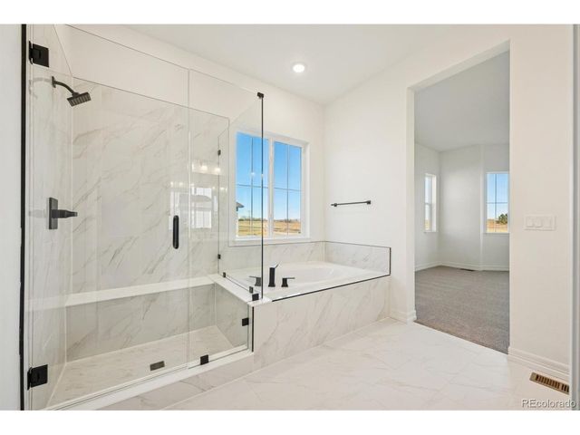 1168 Weller St, Timnath, CO 80547