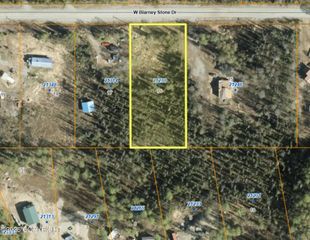 21288 W Blarney Stone Drive, Big Lake, AK 99652