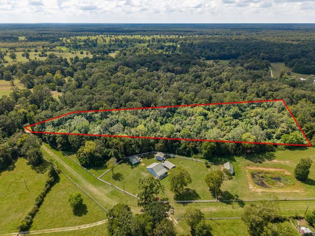 TBD Winding Creek Drive, Shepherd, TX 77371