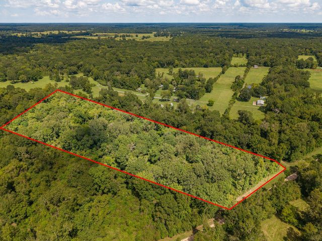 TBD Winding Creek Drive, Shepherd, TX 77371