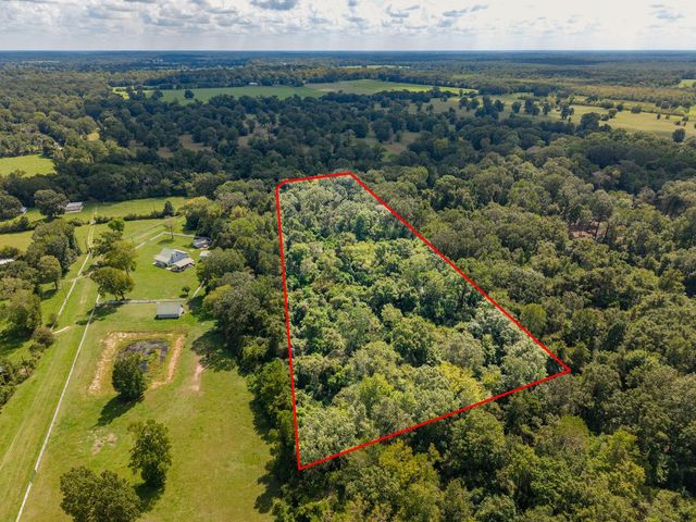 TBD Winding Creek Drive, Shepherd, TX 77371