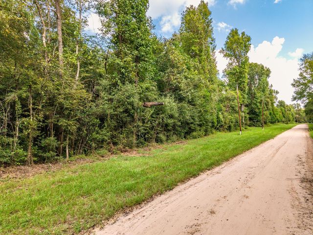 TBD Winding Creek Drive, Shepherd, TX 77371