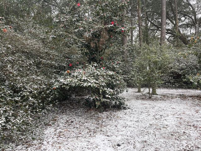 704 Carn Street, Walterboro, SC 29488