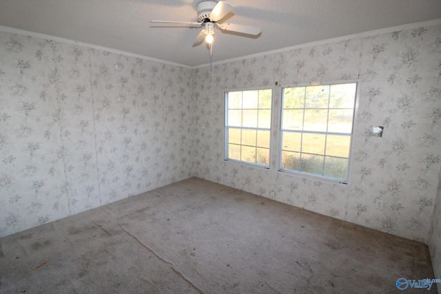 1358 Pankey Road, Guntersville, AL 35976