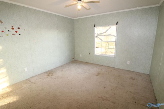 1358 Pankey Road, Guntersville, AL 35976