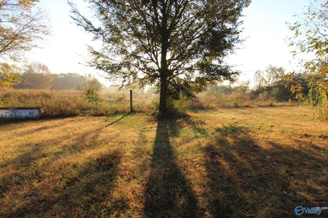 1358 Pankey Road, Guntersville, AL 35976