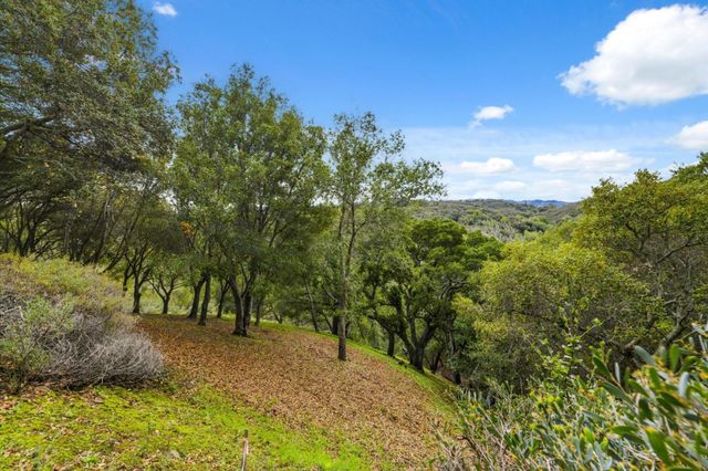 3387 Brittan Avenue 2, San Carlos, CA 94070