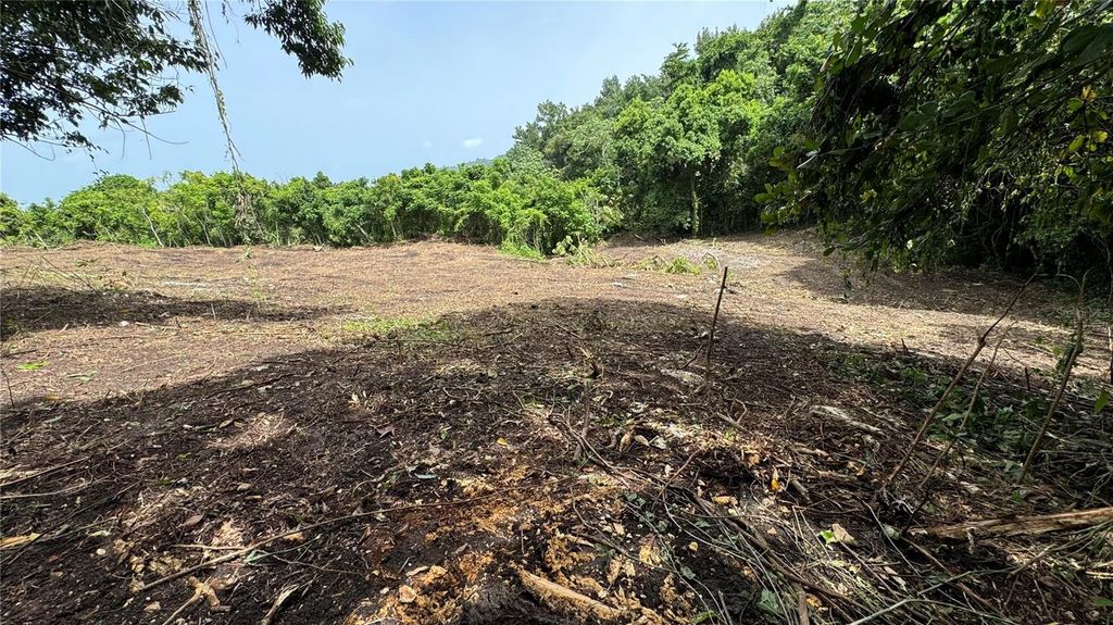 Image 1 of property listing at BO. CIDRAL PR-450, San Sebastian, PR 00685