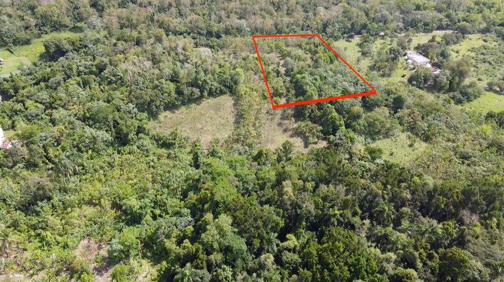 Image 4 of property listing at BO. CIDRAL PR-450, San Sebastian, PR 00685