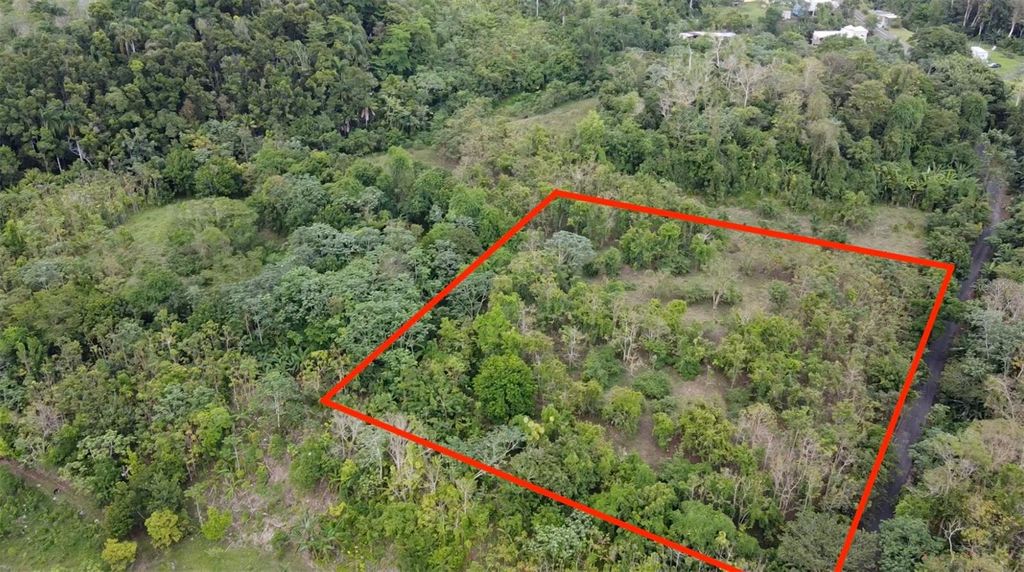 Image 5 of property listing at BO. CIDRAL PR-450, San Sebastian, PR 00685
