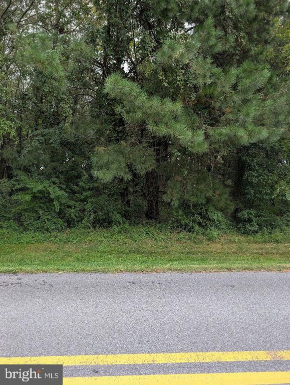 LOT 5 FALLING PT RD, Dagsboro, DE 19939