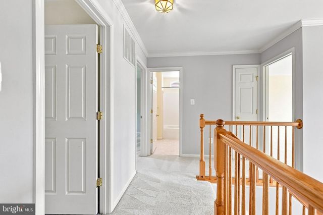 4802 CLARENDON DR, Frederick, MD 21703