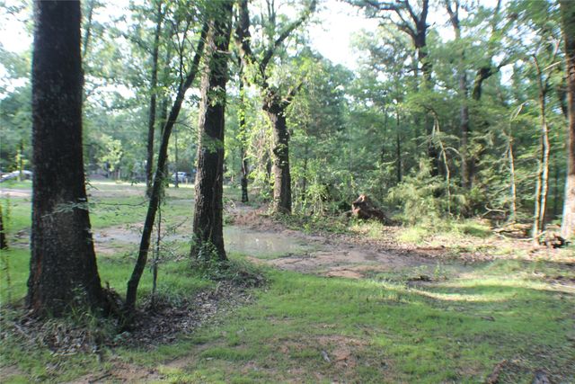 148 Golden Oaks Drive, Mabank, TX 75156