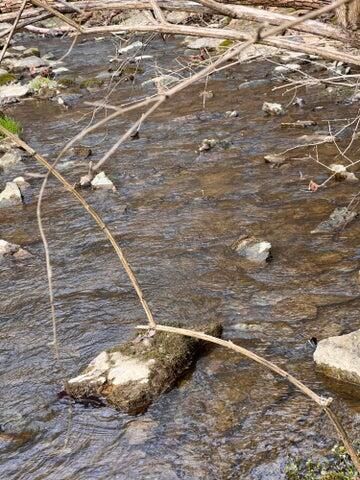 0 Hwy 35 Tract D, Sparta, KY 41086