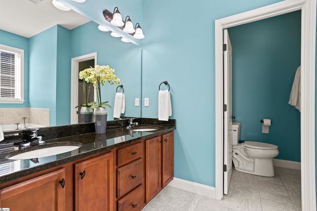 217 Wittrock Court, Taylors, SC 29687