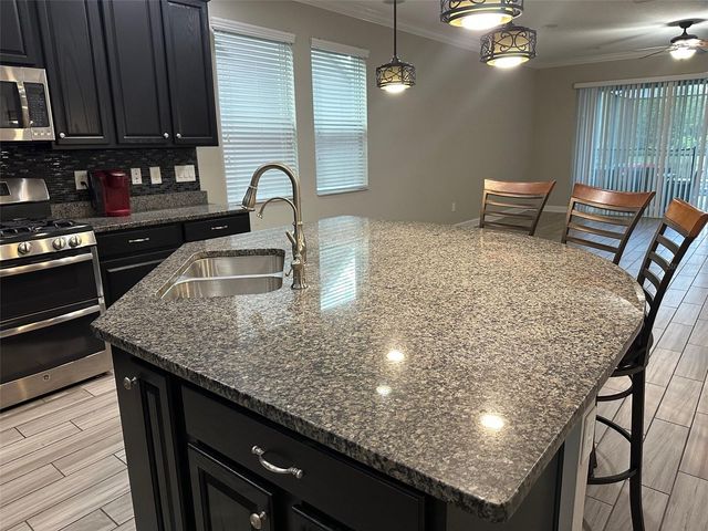 21529 SOUTHERN CHARM DRIVE, Land O Lakes, FL 34637