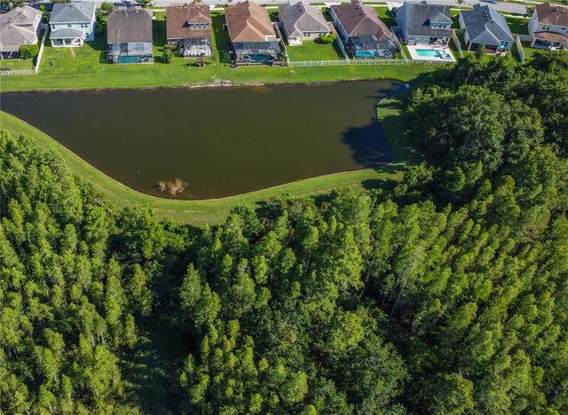 21529 SOUTHERN CHARM DRIVE, Land O Lakes, FL 34637