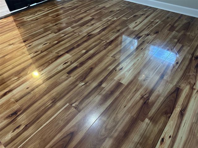 21529 SOUTHERN CHARM DRIVE, Land O Lakes, FL 34637