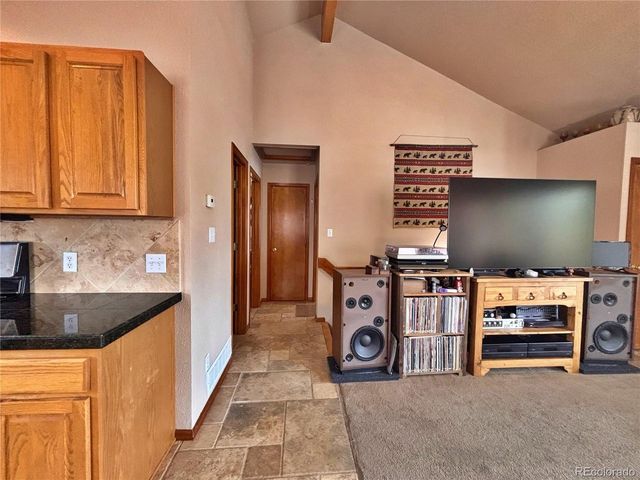 17 Silver Springs Rd, Bailey, CO 80421