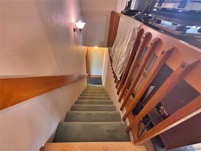 17 Silver Springs Rd, Bailey, CO 80421