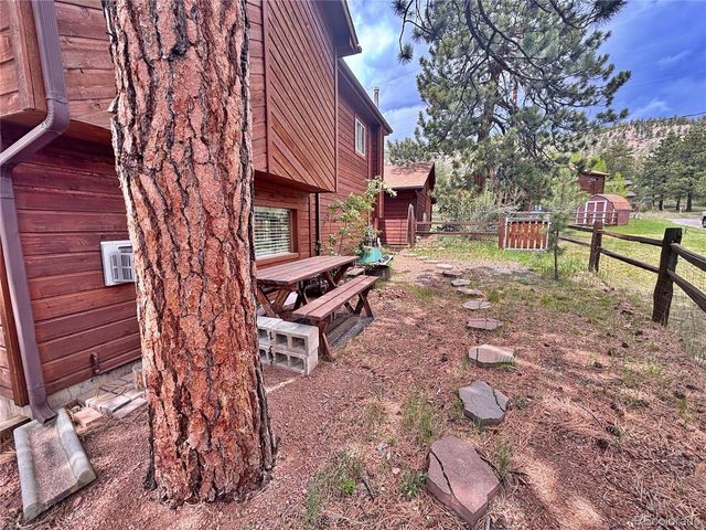 17 Silver Springs Rd, Bailey, CO 80421