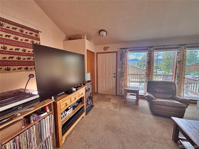 17 Silver Springs Rd, Bailey, CO 80421