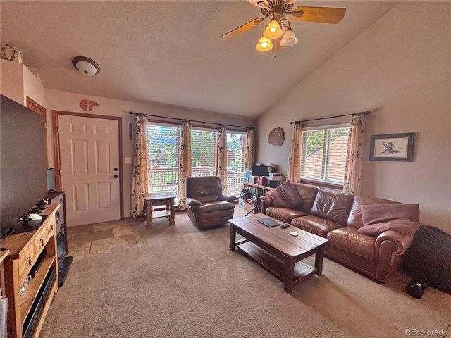 17 Silver Springs Rd, Bailey, CO 80421