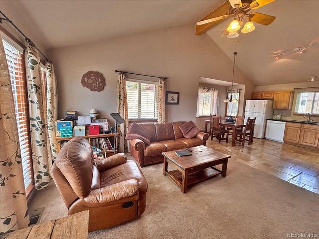 17 Silver Springs Rd, Bailey, CO 80421