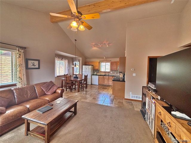 17 Silver Springs Rd, Bailey, CO 80421