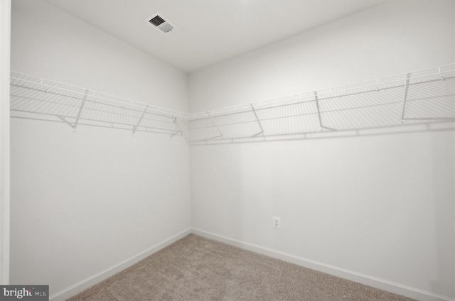 462 LUDGATE MNR, Falling Waters, WV 25419