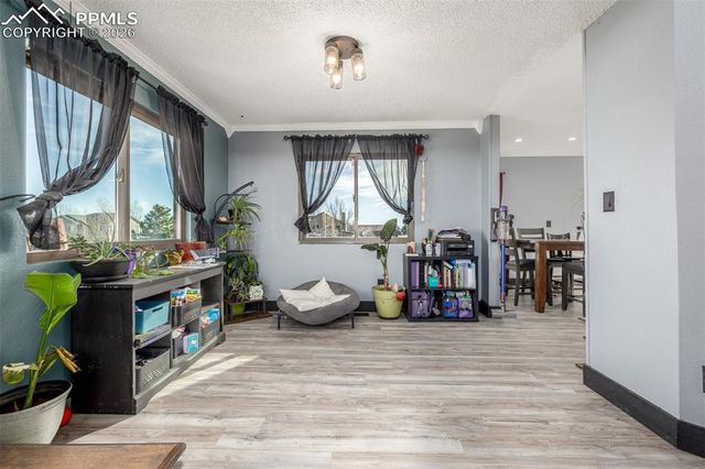 11650 Cranston Drive, Peyton, CO 80831