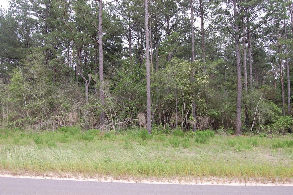 15674 Forest Grove Drive, Willis, TX 77378