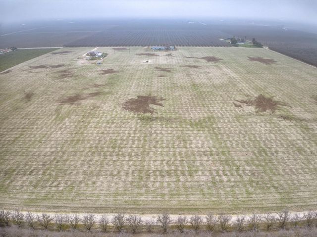 13370 S Bryan Avenue, Caruthers, CA 93609