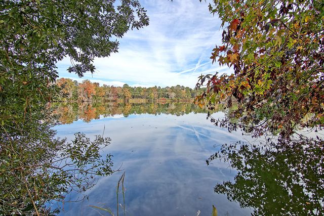 648 Water Lily Trail, Summerville, SC 29485