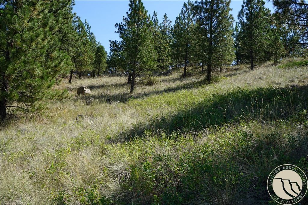 TBD Ridge Crest LANE, Other, MT 59421 photo 12