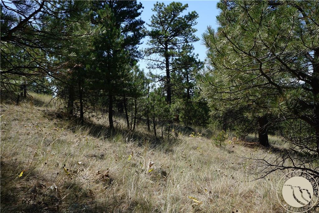 TBD Ridge Crest LANE, Other, MT 59421 photo 13