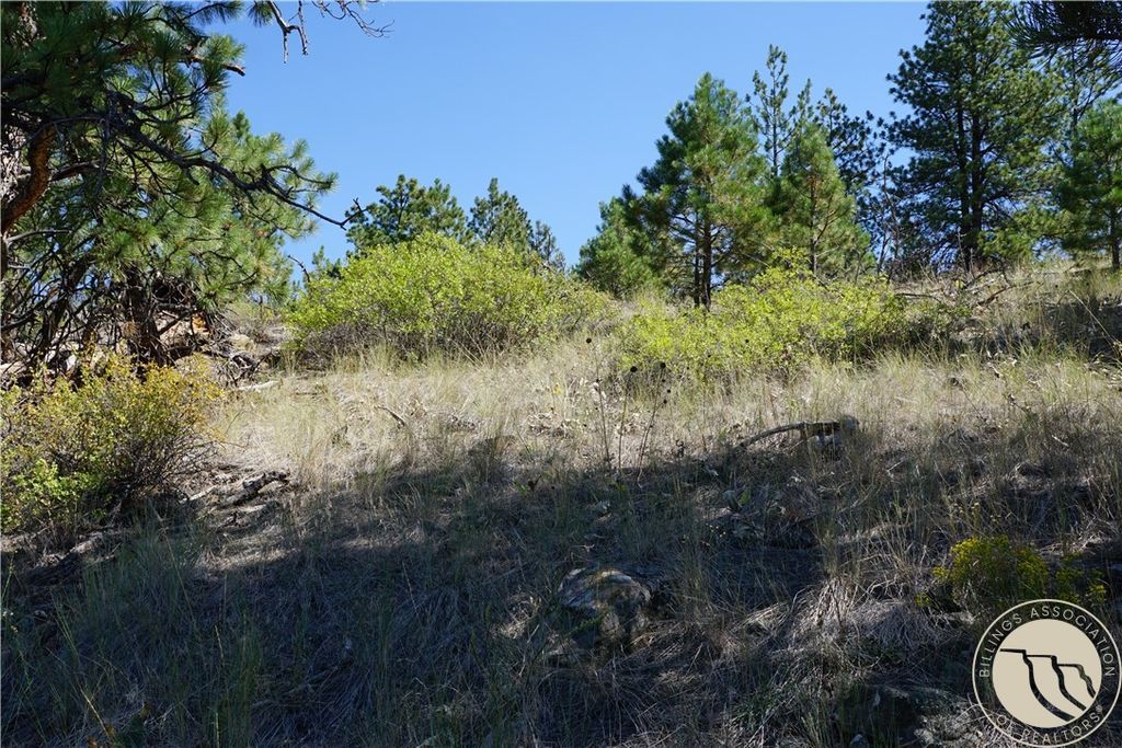 TBD Ridge Crest LANE, Other, MT 59421 photo 17