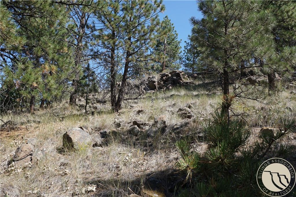 TBD Ridge Crest LANE, Other, MT 59421 photo 18