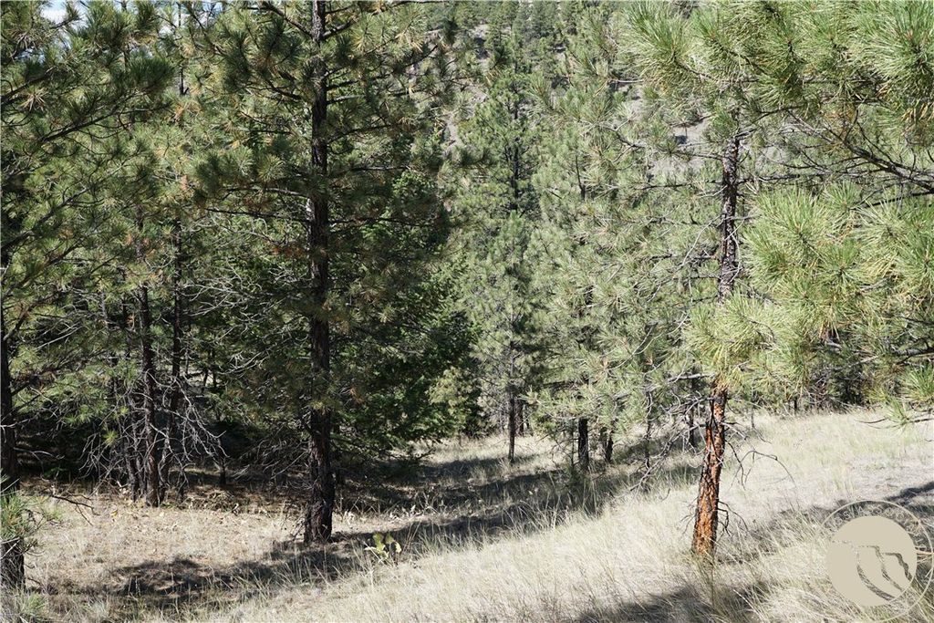 TBD Ridge Crest LANE, Other, MT 59421 photo 19