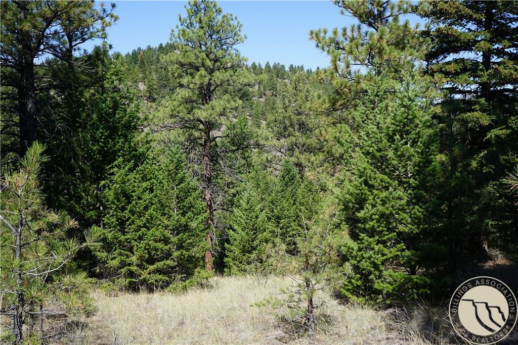 TBD Ridge Crest LANE, Other, MT 59421 photo 2
