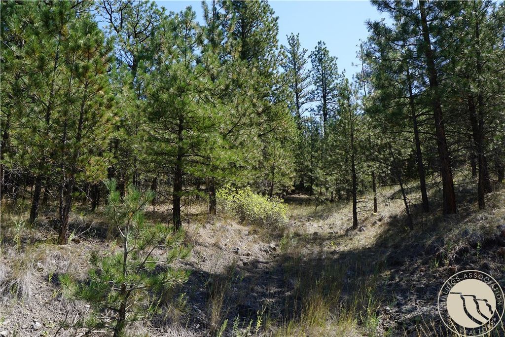 TBD Ridge Crest LANE, Other, MT 59421 photo 24