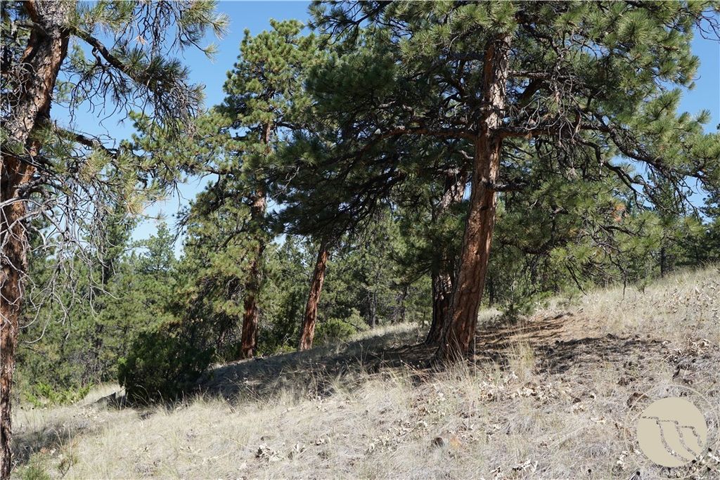 TBD Ridge Crest LANE, Other, MT 59421 photo 5