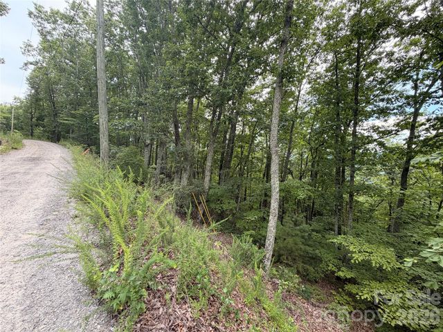 99999 Harrison Hill Road 15, Swannanoa, NC 28778