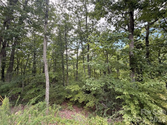 99999 Harrison Hill Road 15, Swannanoa, NC 28778