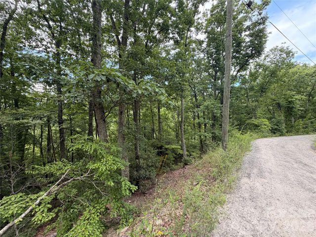 99999 Harrison Hill Road 15, Swannanoa, NC 28778