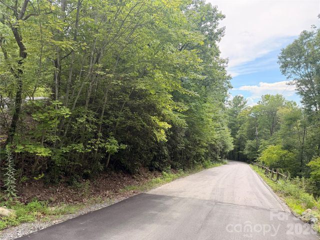 99999 Harrison Hill Road 15, Swannanoa, NC 28778