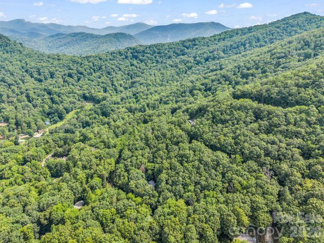 99999 Harrison Hill Road 15, Swannanoa, NC 28778