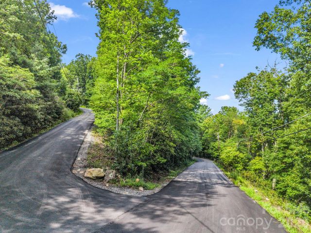 99999 Harrison Hill Road 15, Swannanoa, NC 28778