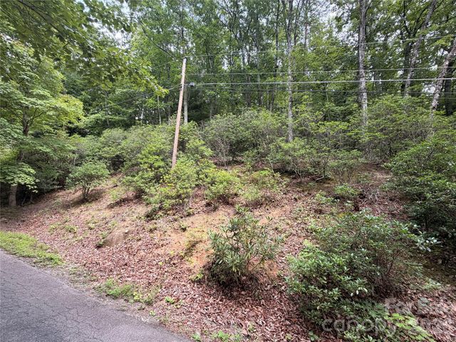99999 Harrison Hill Road 15, Swannanoa, NC 28778